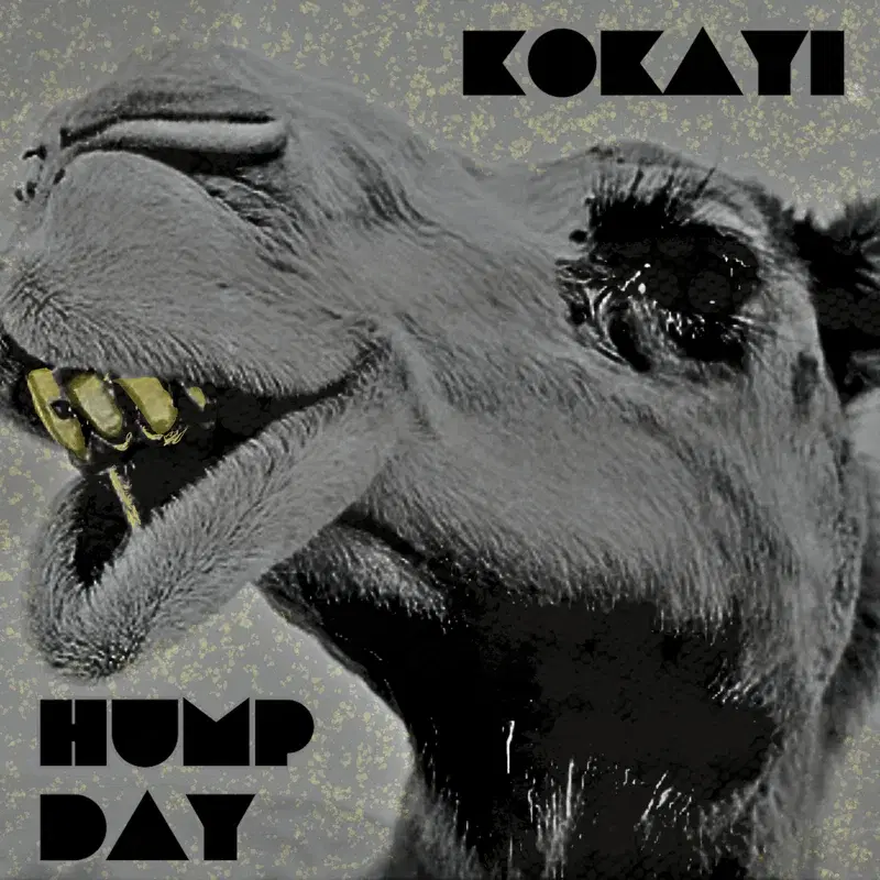 HUMP DAY