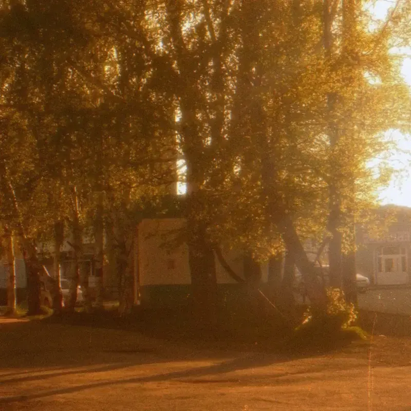 golden filament