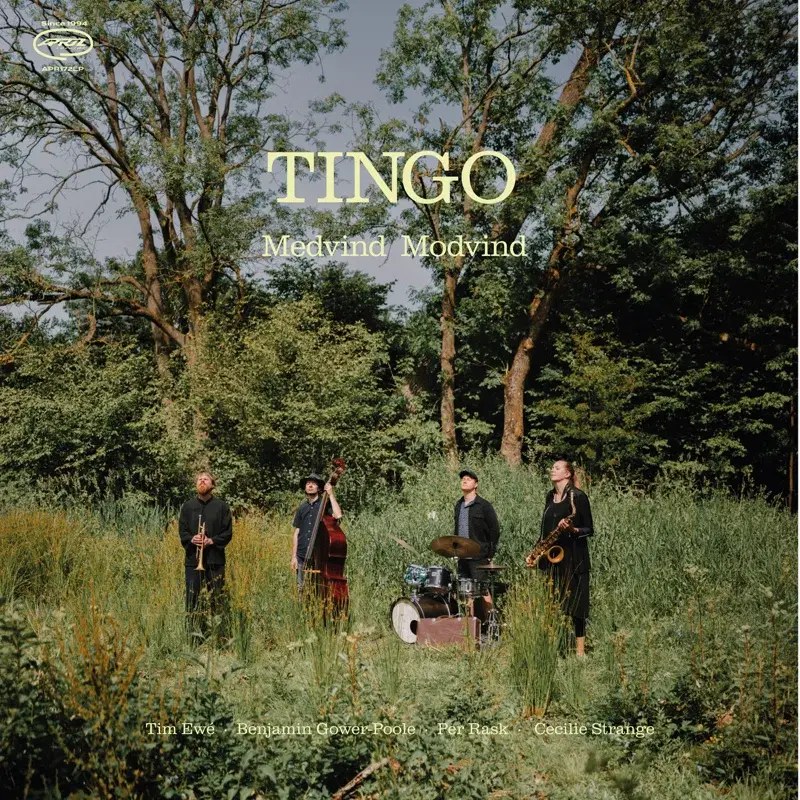 Medvind Modvind