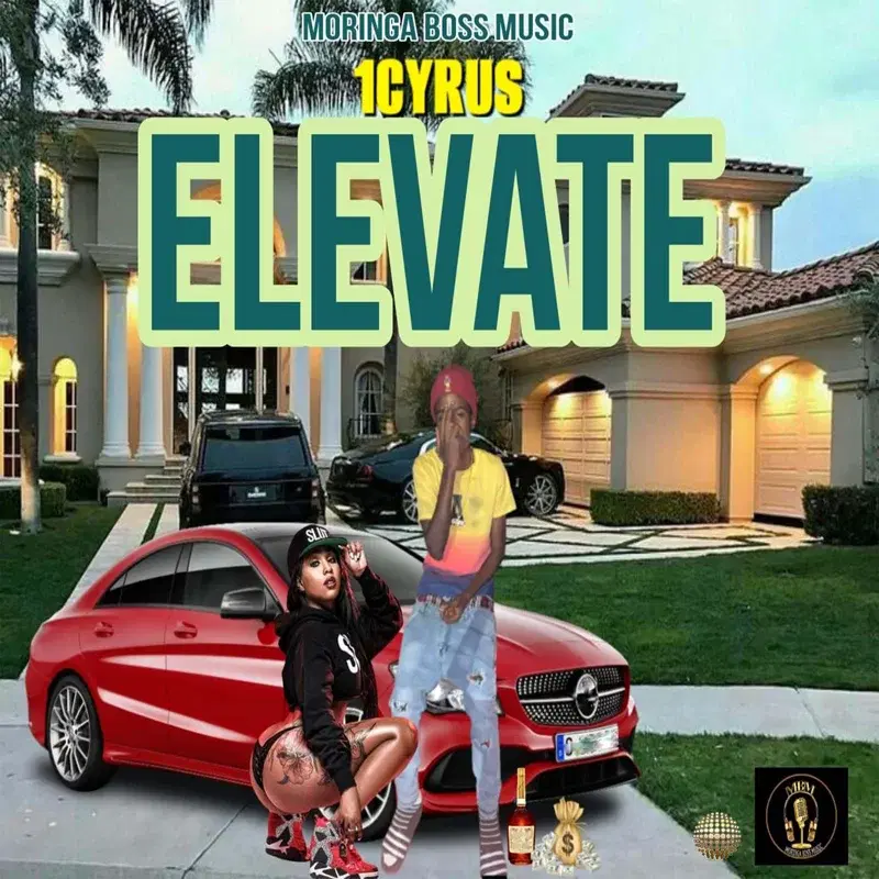 Elevate