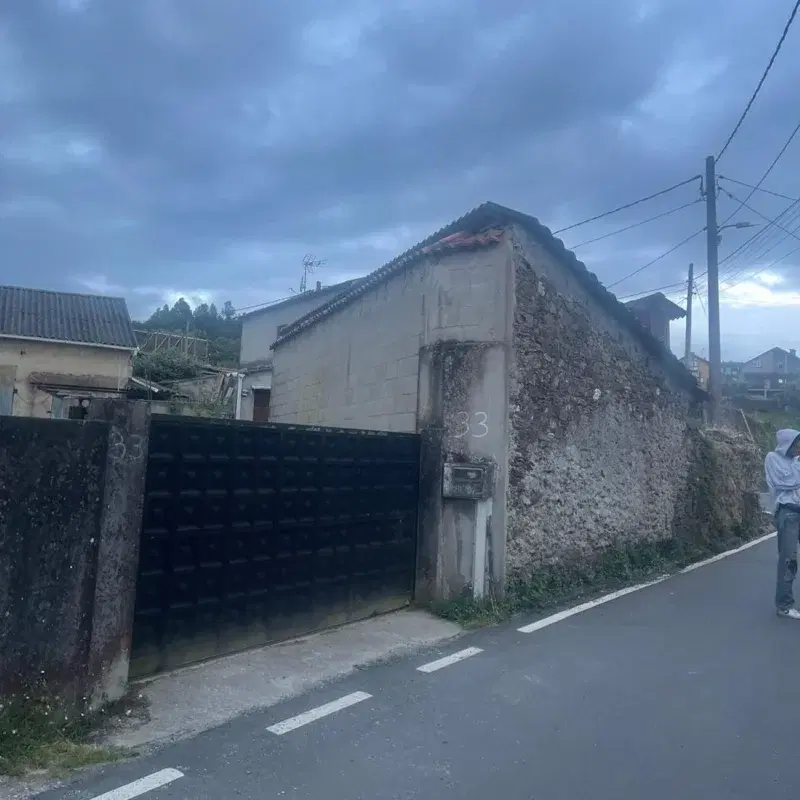 japanese dem