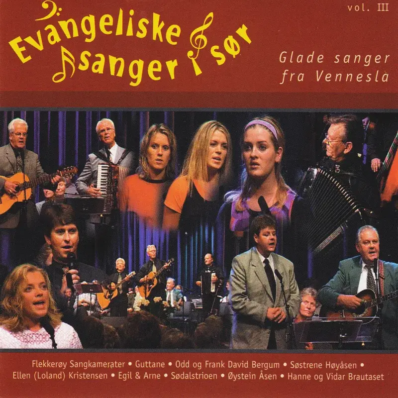 Evangeliske Sanger I Sør - Vol. 3