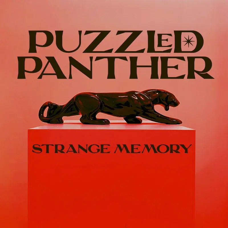 Strange Memory