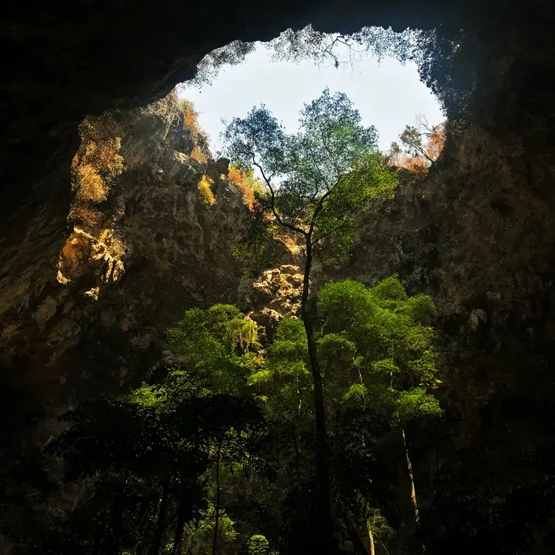 The Lost Island