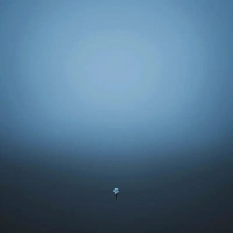 The Sleep Signal