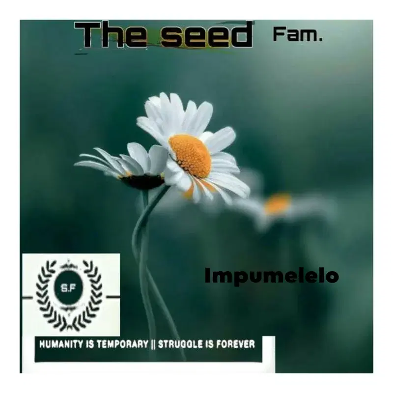 Impumelelo