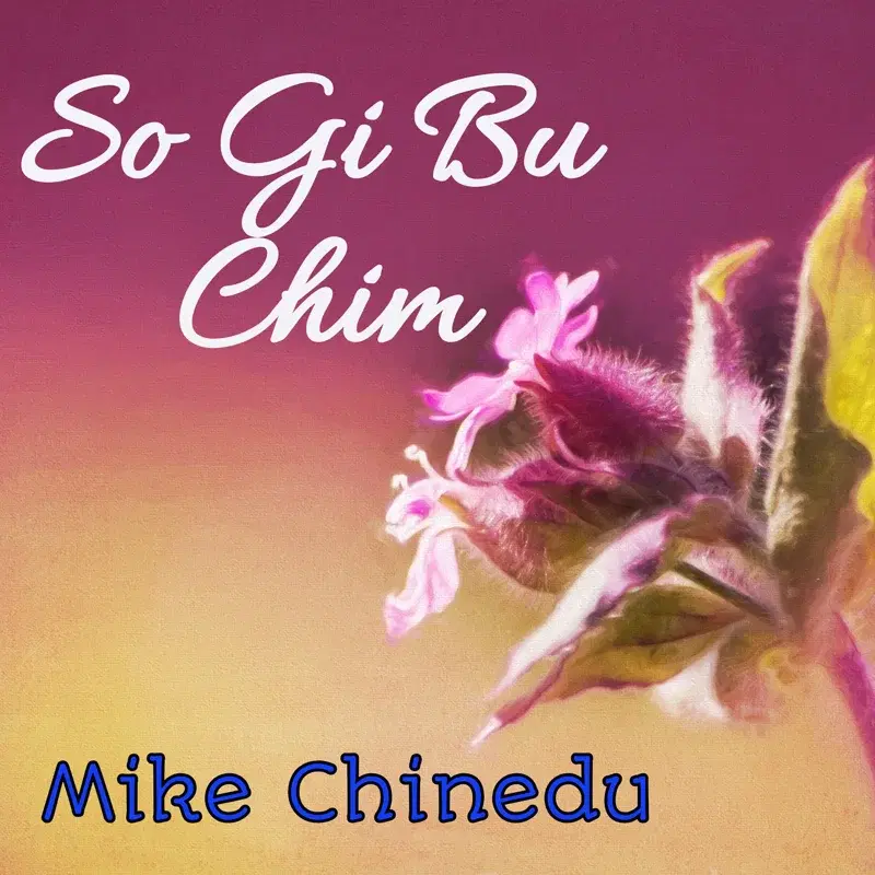 So Gi Bu Chim
