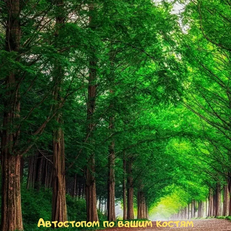 Автостопом по вашим костям