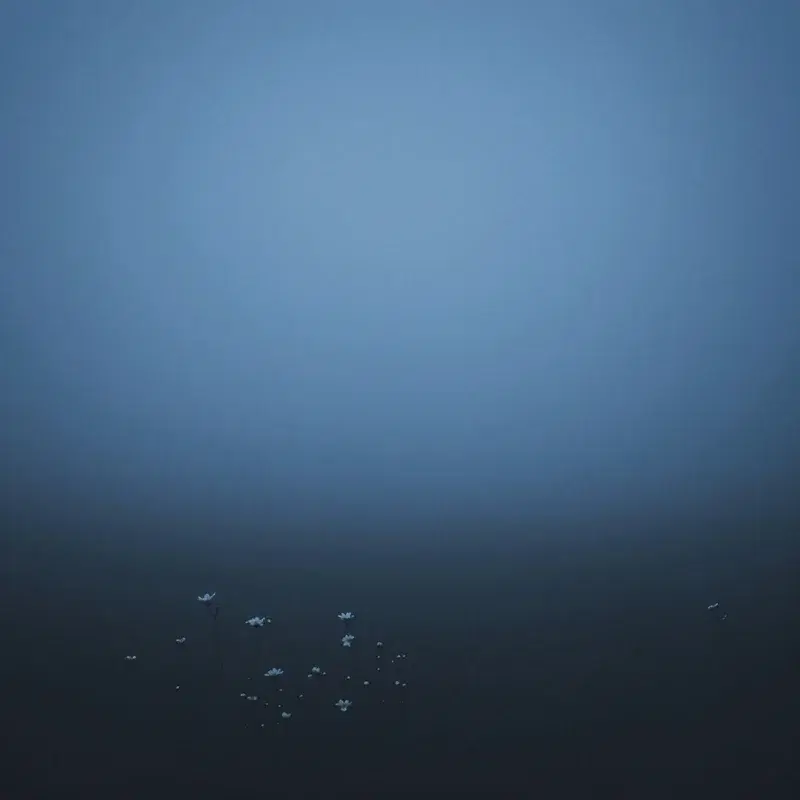 Clarity