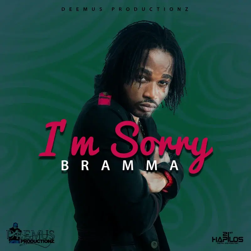 I'm Sorry - Single