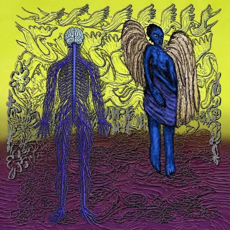 Flesh & Nerve