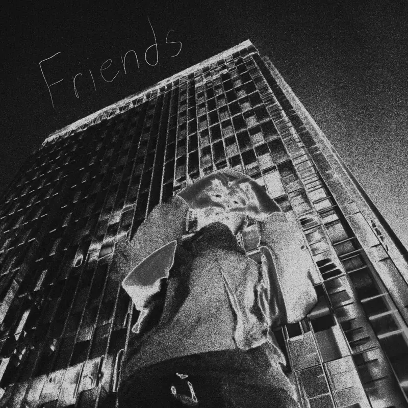 friends