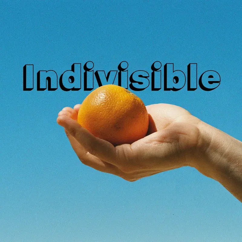 Indivisible