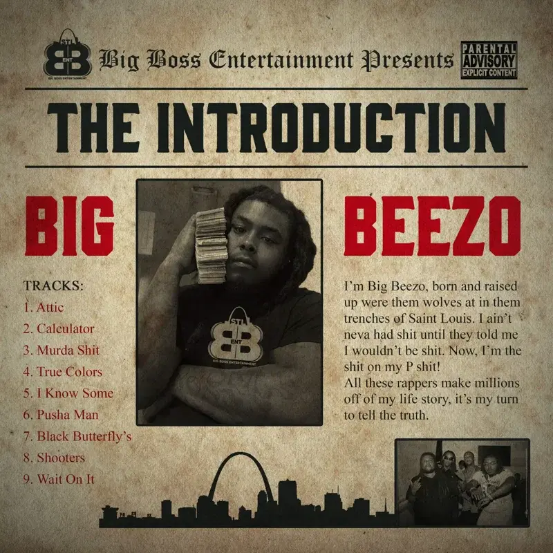 The Introduction