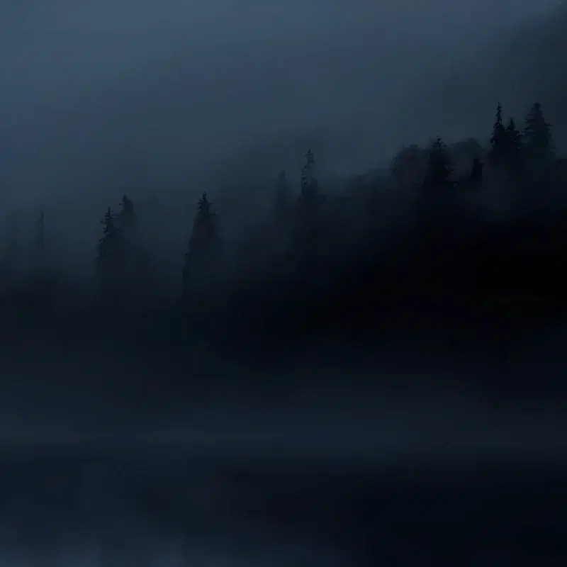 still night
