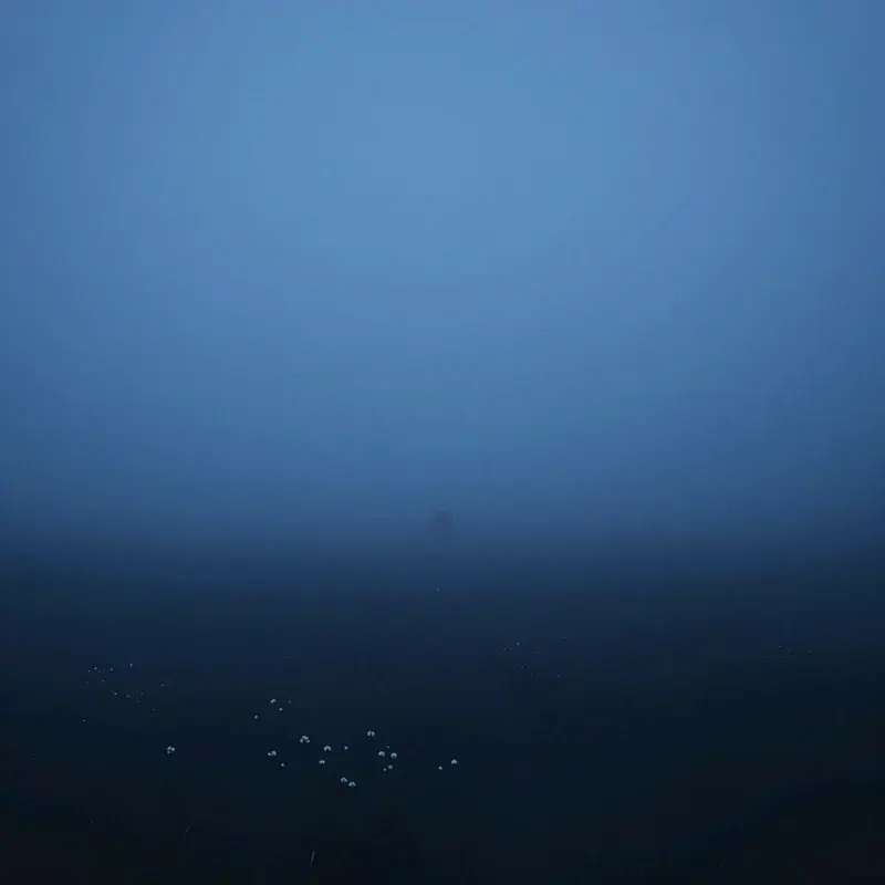Low Ceiling