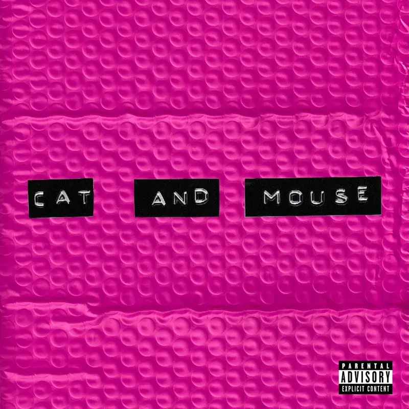 CAT AND MOUSE