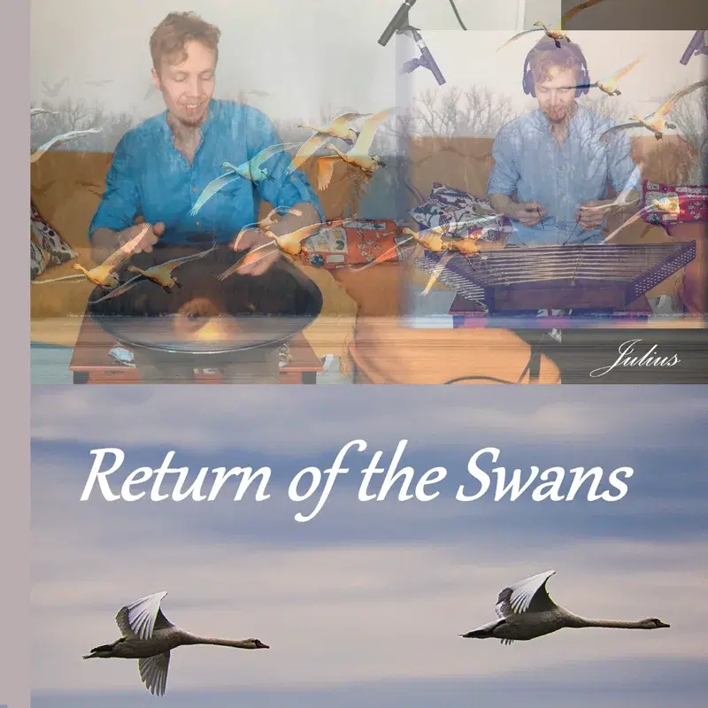 Return of the Swans