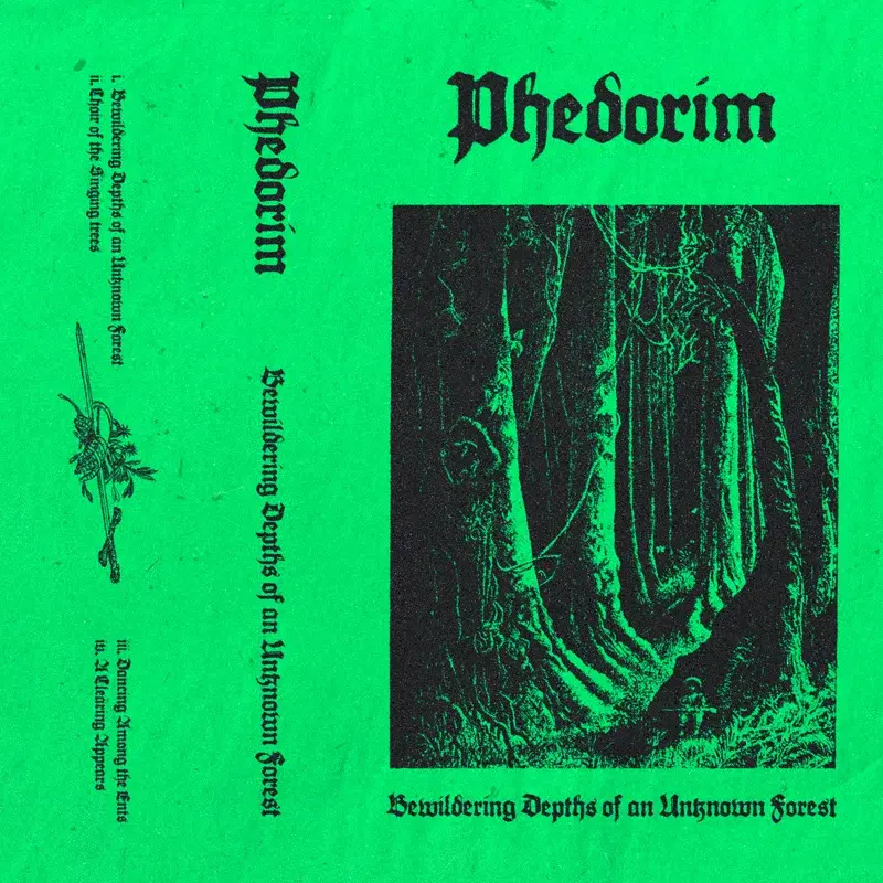 Bewildering Depths of an Unknown Forest