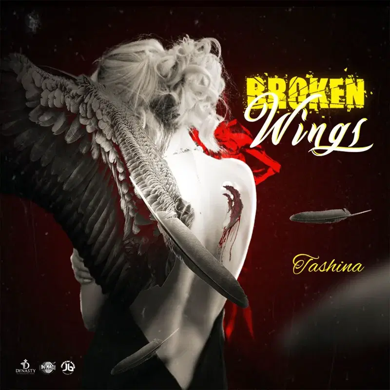 Broken Wings