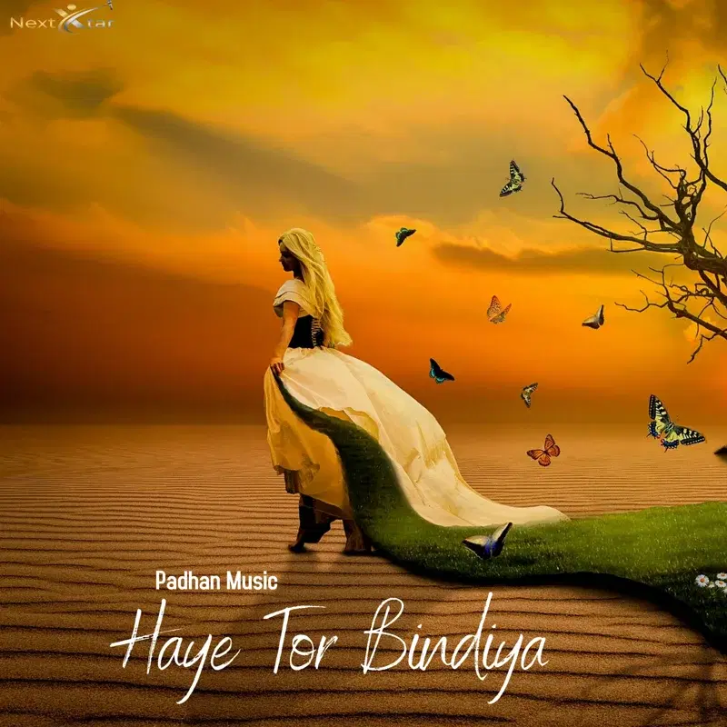 Haye Tor Bindiya