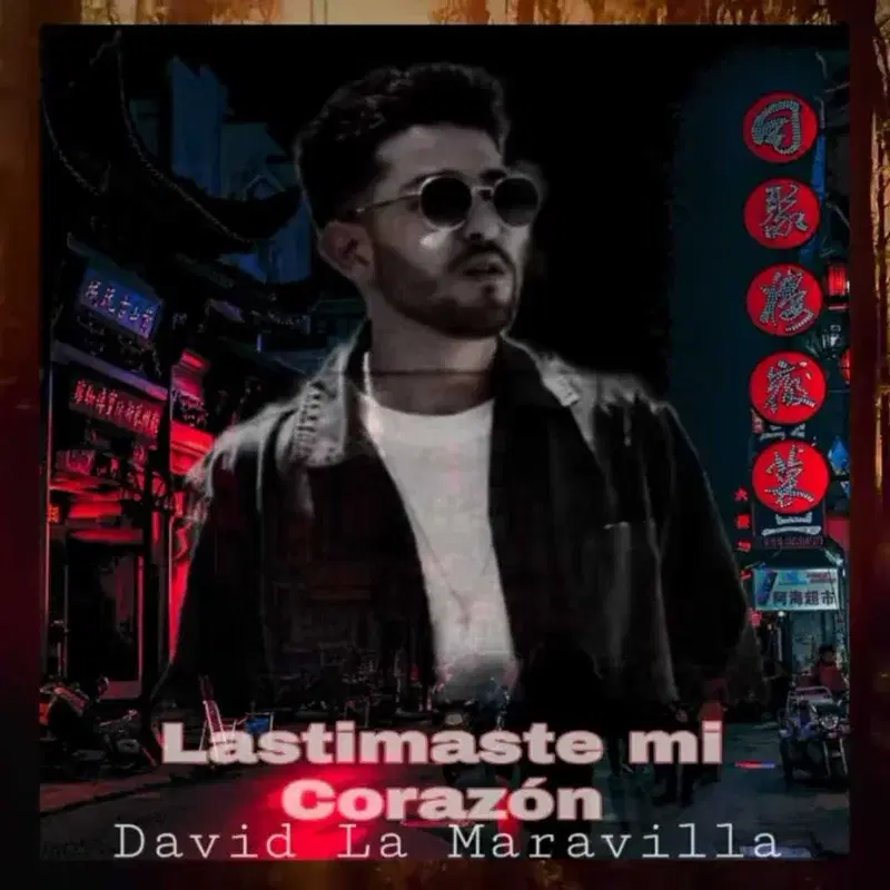 Lastimaste Mi Corazón