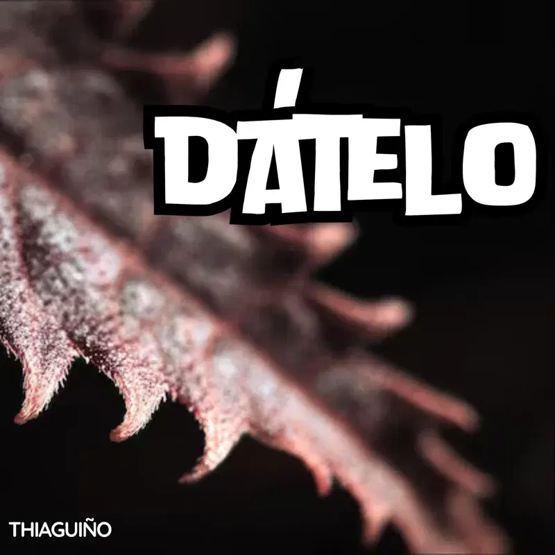DÁTELO