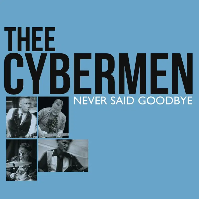Never Said Goodbye