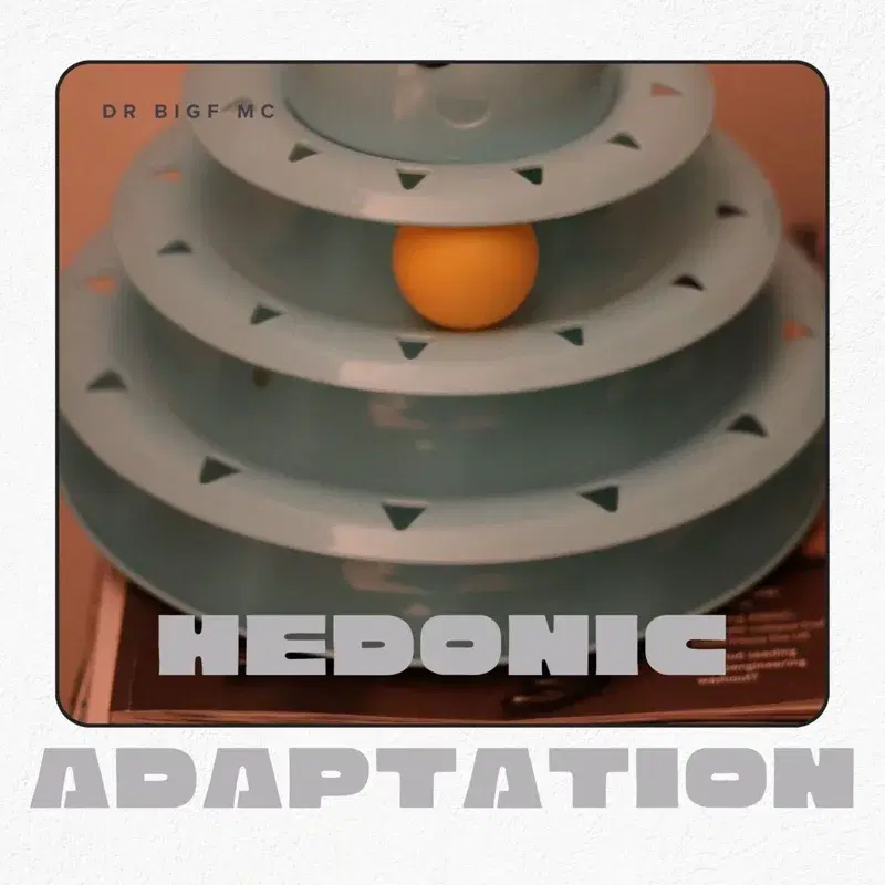 Hedonic Adaptation