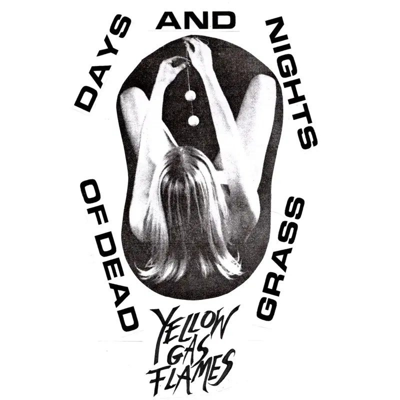 Days and Nights of Dead Grass