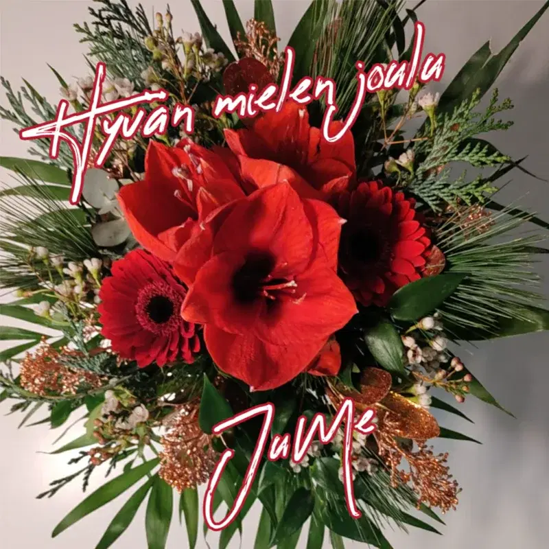 Hyvän mielen joulu