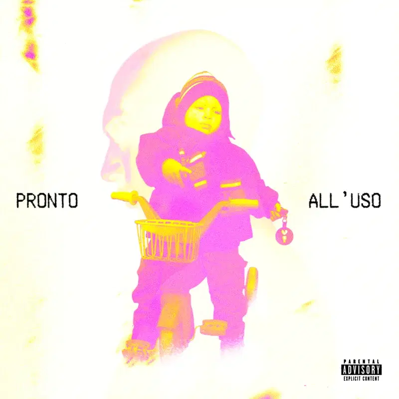 Pronto All'Uso