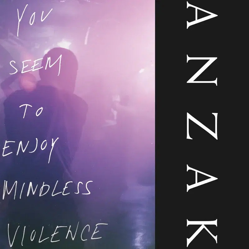 You Seem to Enjoy Mindless Violence