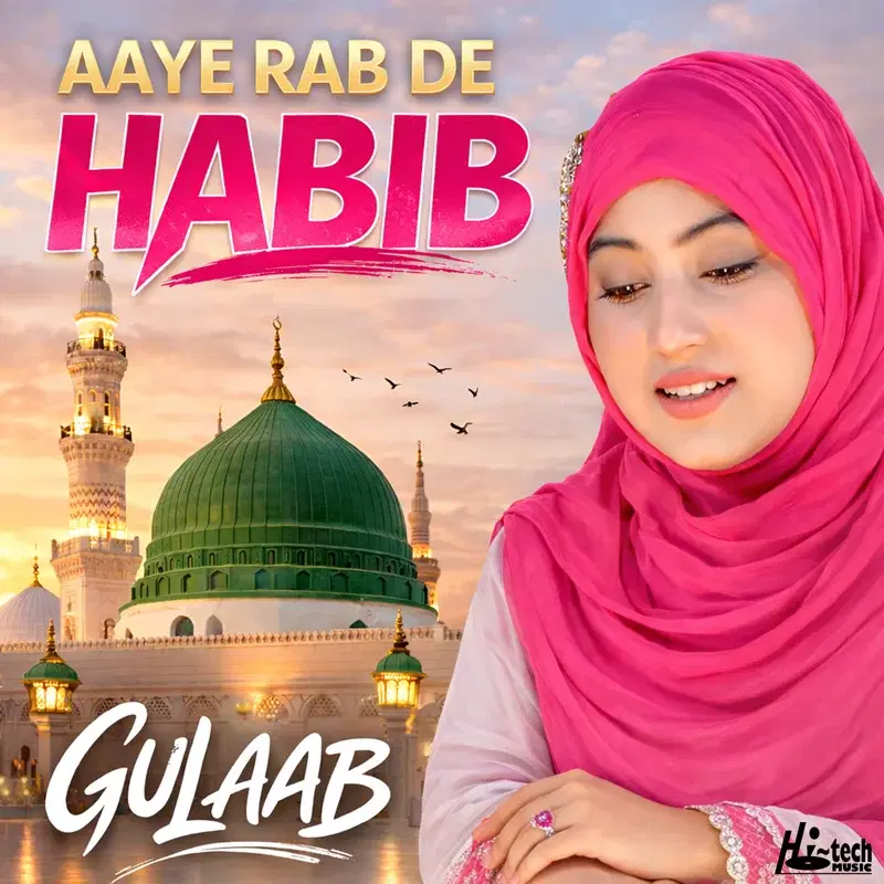 Aaye Rab De Habib