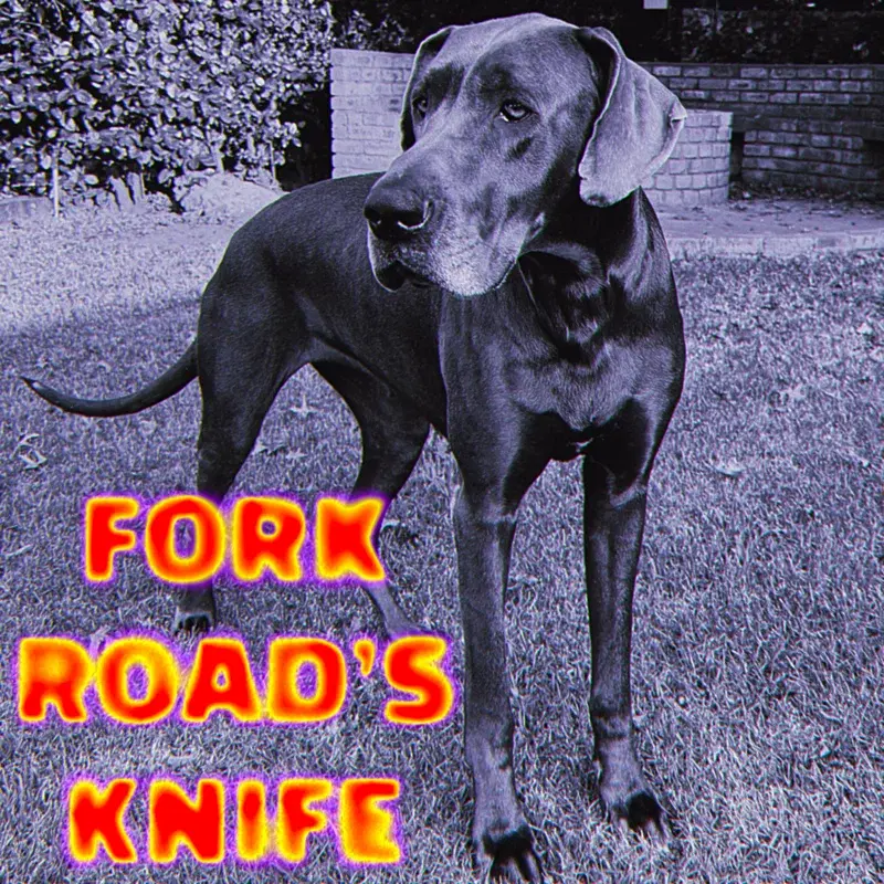 FORK ROAD'S KNIFE