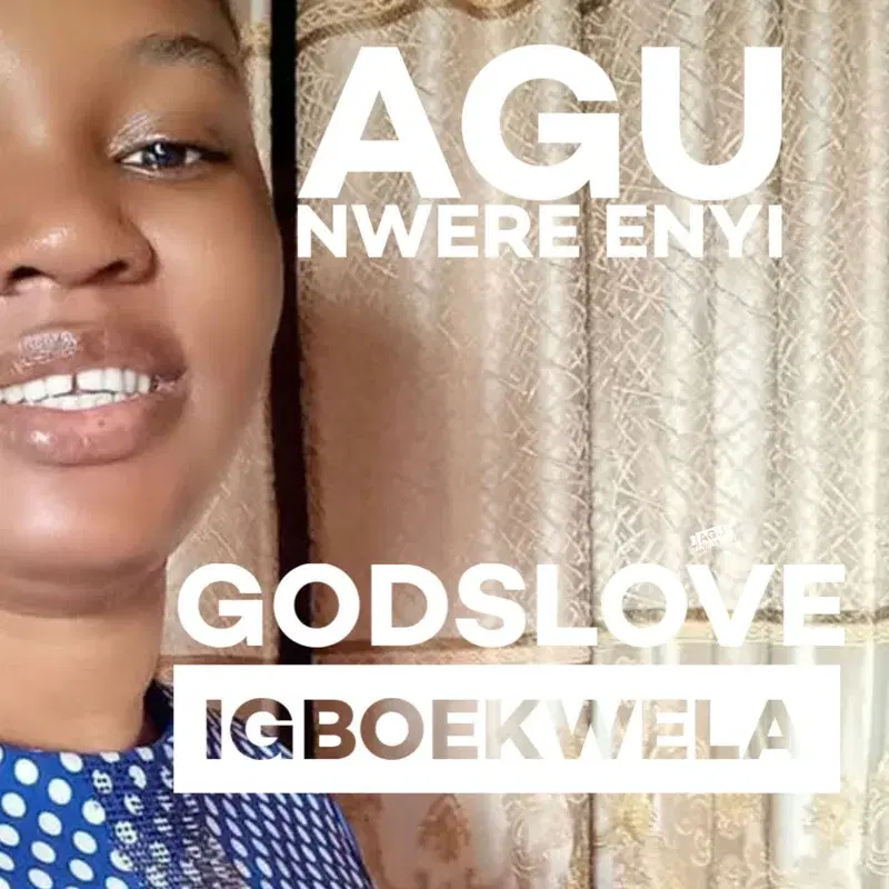 Agu nwere enyi