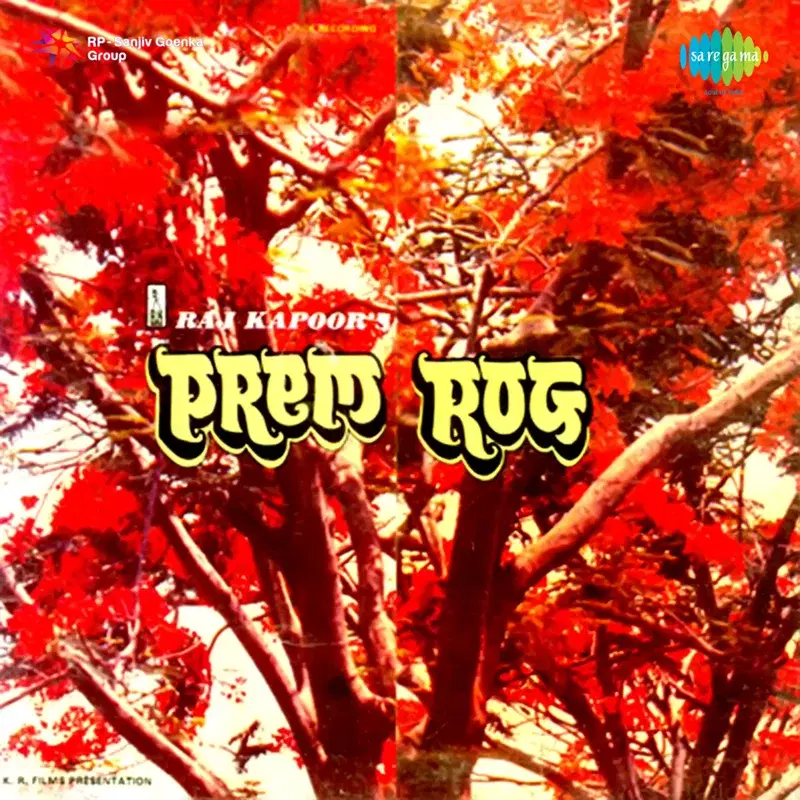 Prem Rog (Original Motion Picture Soundtrack)