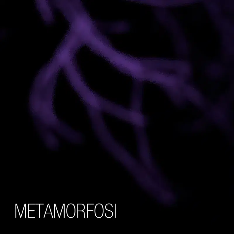 Metamorfosi