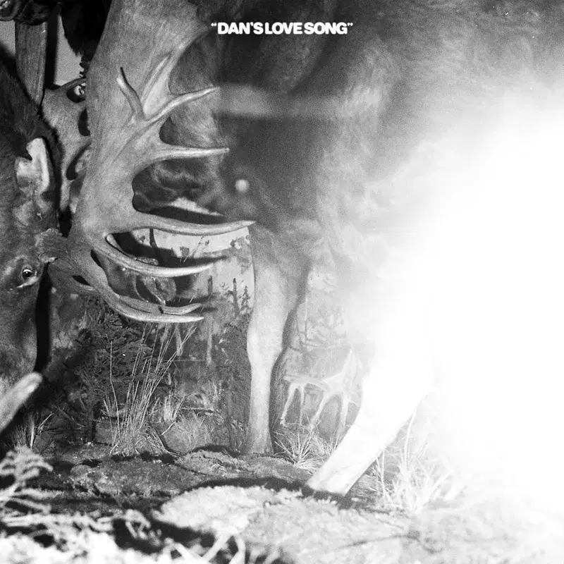 Dan's Love Song
