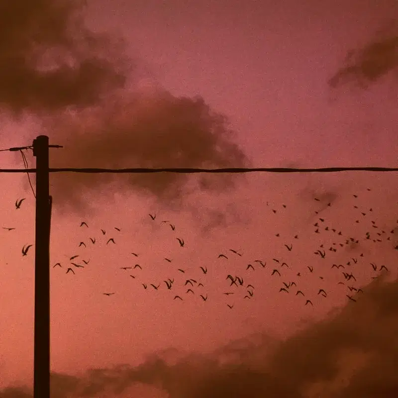 Warm wind