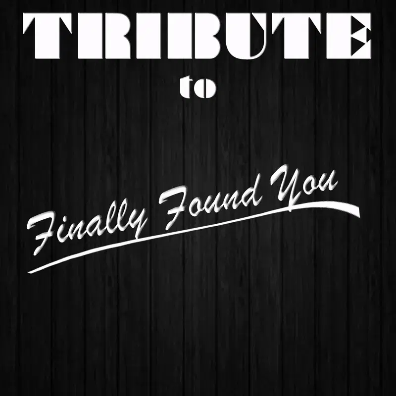 Finally Found You (Tribute to Enrique Iglesias Feat. Sammy Adams)