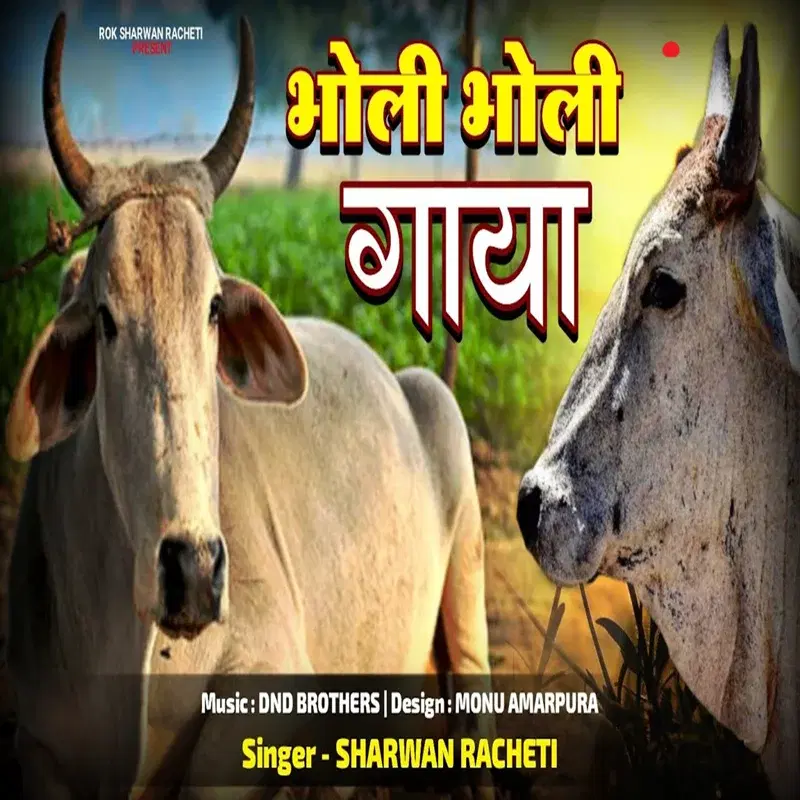 Bholi Bholi Gaya