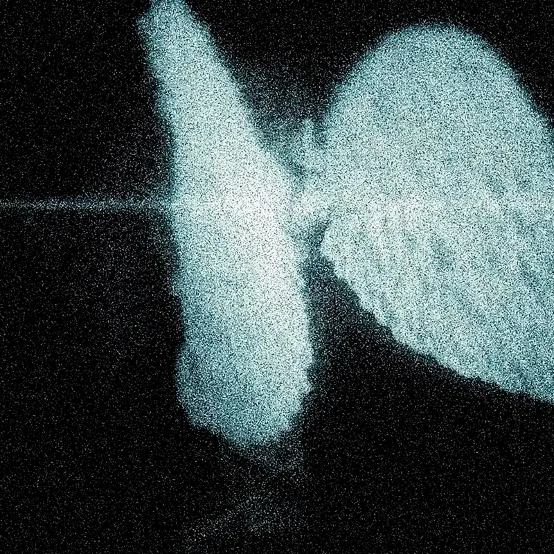 angel love