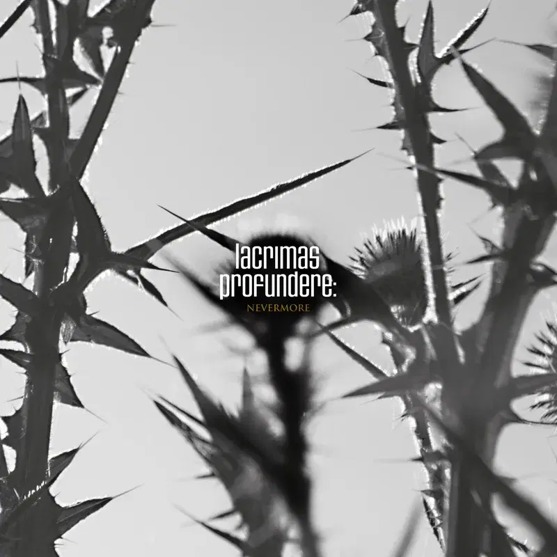 Nevermore