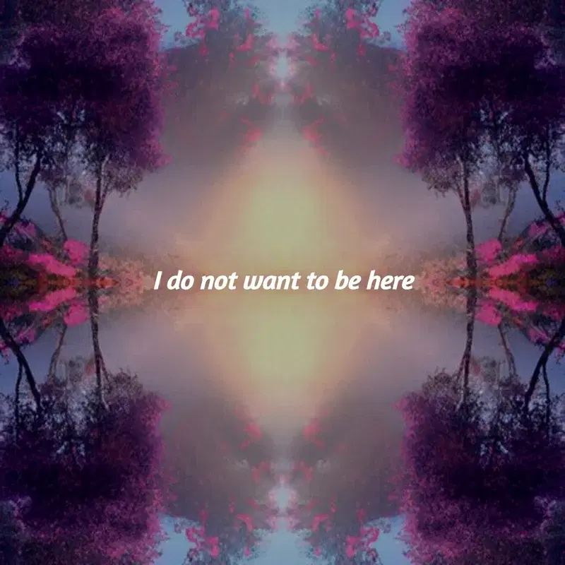 I DO NOT WANT TO BE HERE