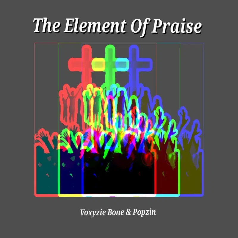 The Element Of Praise