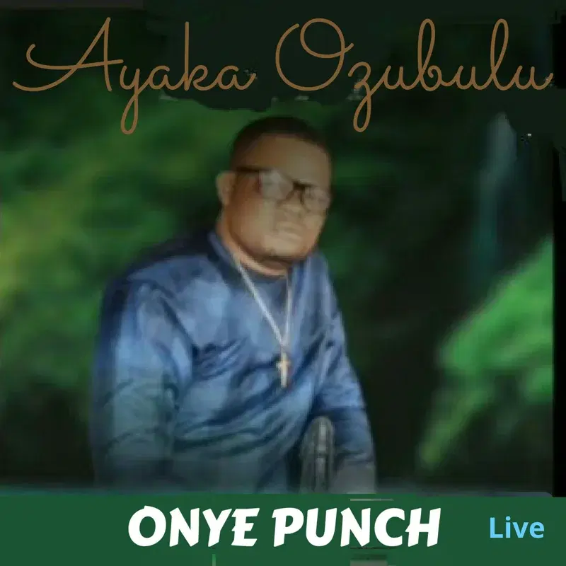 Onye Punch