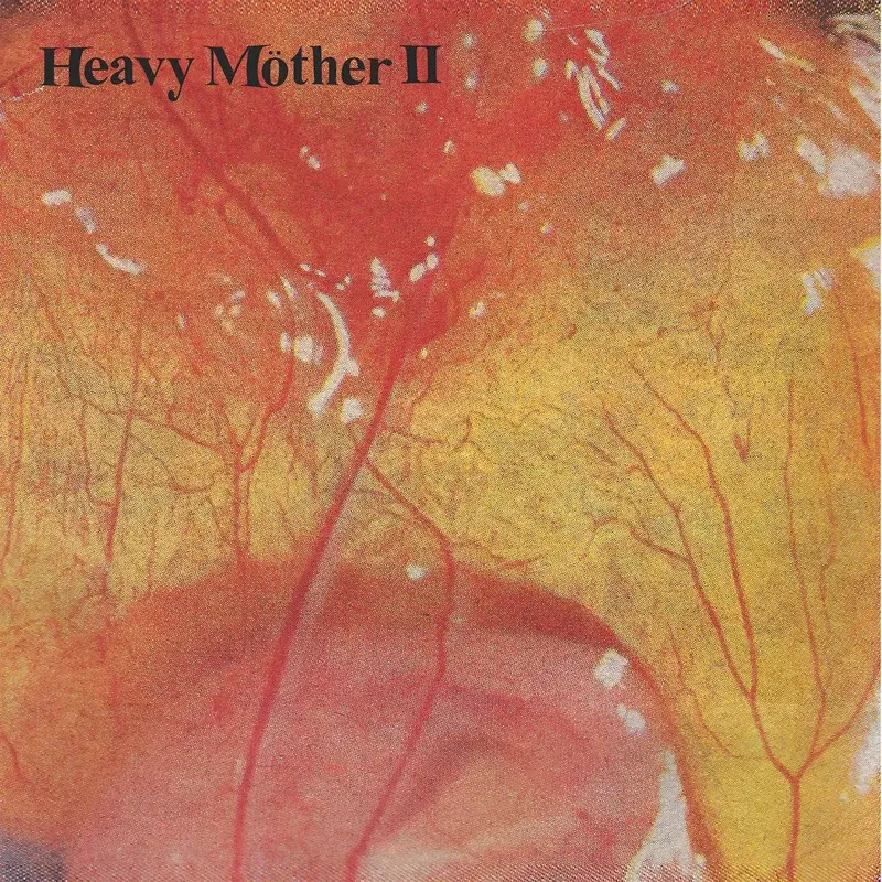 S/T