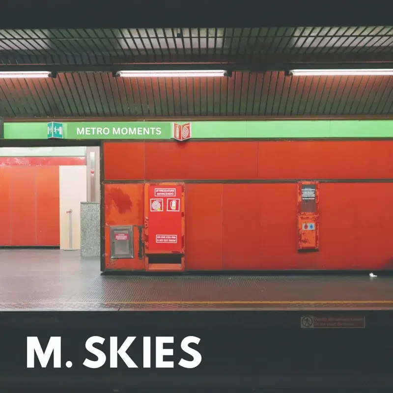 Metro Moments
