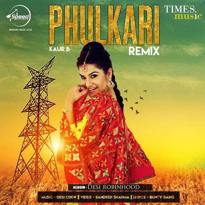 Phulkari (Remix) - Single
